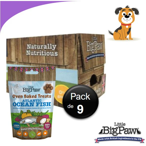 Little Big Paw - Biscuits au Poisson 130g - Carton