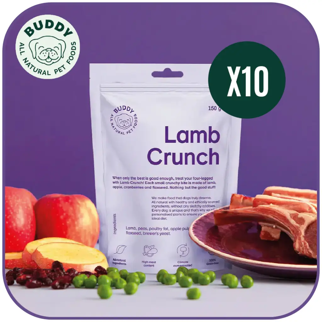 Lamb Crunch | Friandise pour chien à l'agneau | Carton de 10