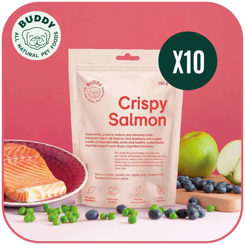 Crispy Salmon | Friandise pour chien au saumon | Carton de 10