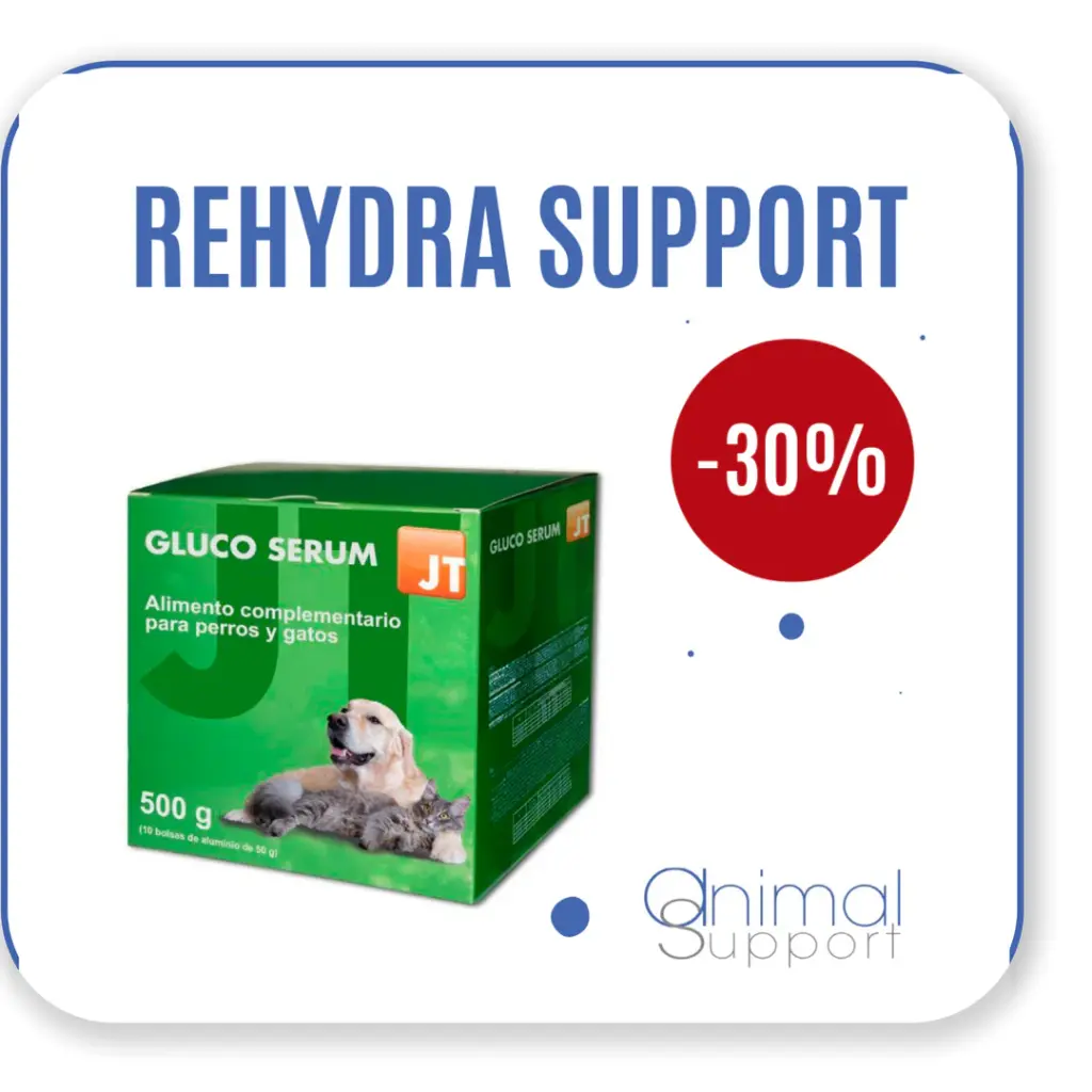 Rehydra Support 10x50 grammes