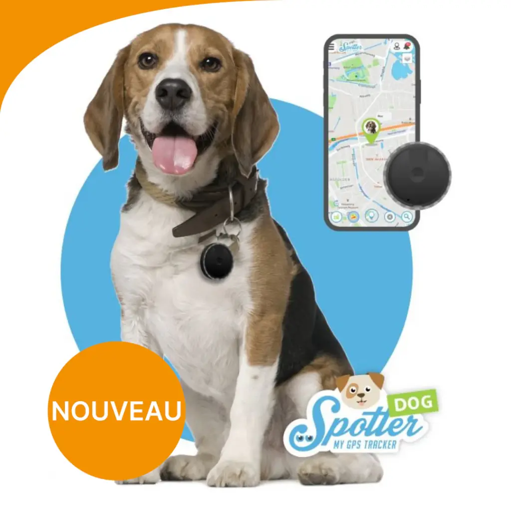 Traceur GPS pour chiens