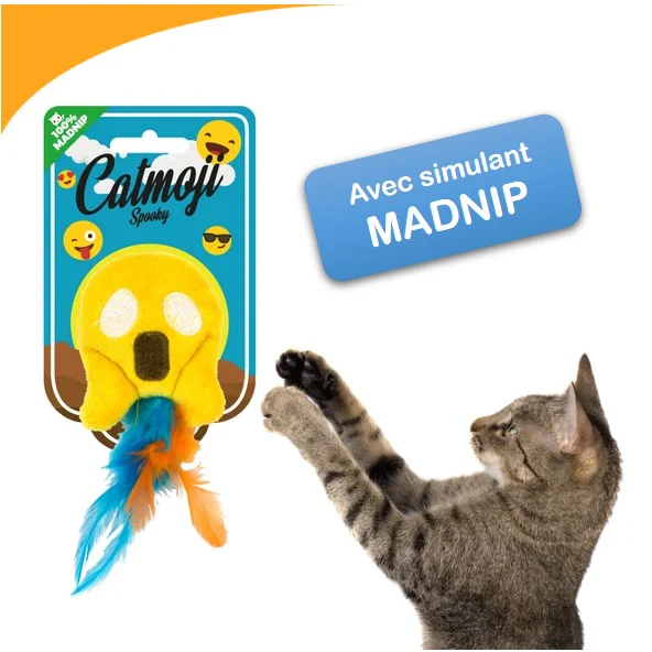 Catmoijs Spoky
