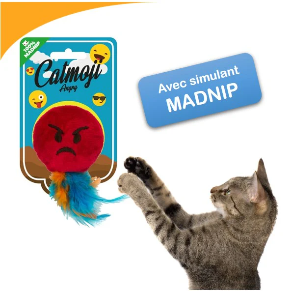 Catmojis Anguy